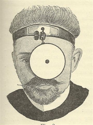 29