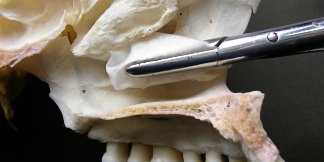 SANYO DIGITAL CAMERA